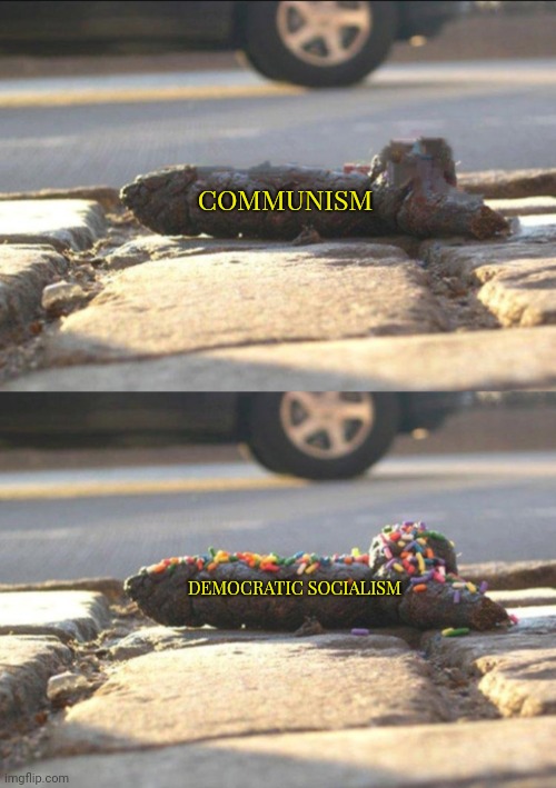 COMMUNISM; DEMOCRATIC SOCIALISM | image tagged in communism,vs,democratic socialism,same ol shit,now with extra sprinkles | made w/ Imgflip meme maker