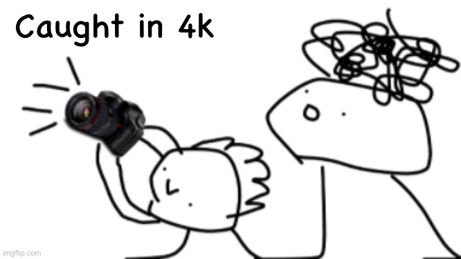 caught in 4k | Caught in 4k | image tagged in caught in 4k | made w/ Imgflip meme maker