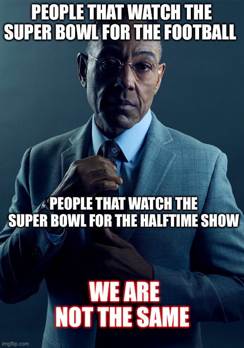 FACTS. Girls: OMG the halftime show is gonna be so good. | PEOPLE THAT WATCH THE SUPER BOWL FOR THE FOOTBALL; PEOPLE THAT WATCH THE SUPER BOWL FOR THE HALFTIME SHOW; WE ARE NOT THE SAME | image tagged in gus fring we are not the same | made w/ Imgflip meme maker