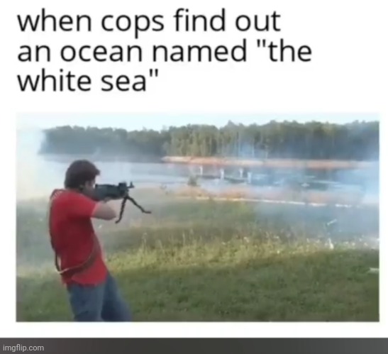 when cops find out about the white sea | image tagged in when cops find out about the white sea,black privilege meme | made w/ Imgflip meme maker