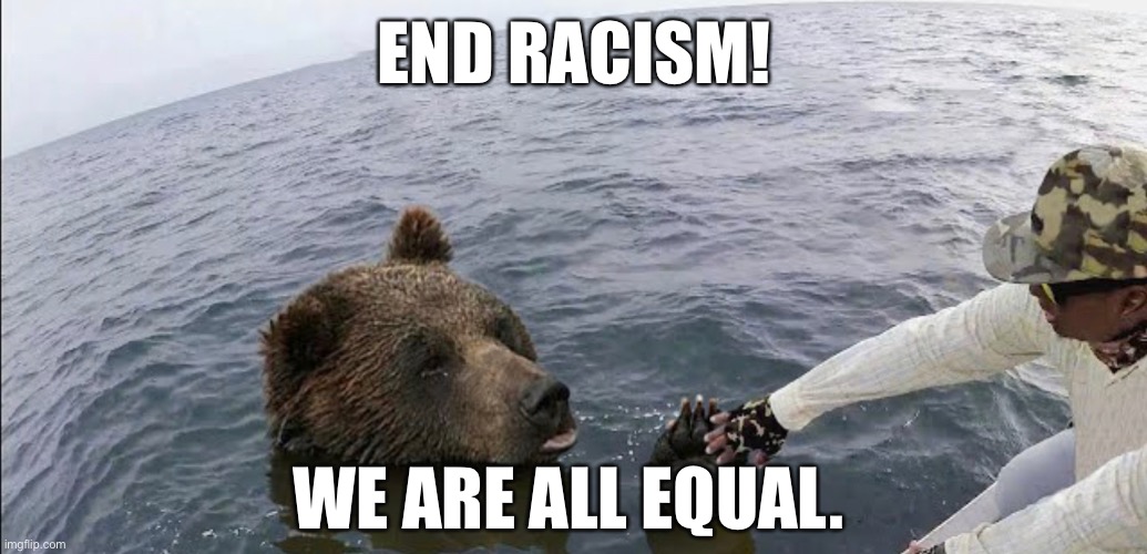 END RACISM | END RACISM! WE ARE ALL EQUAL. | image tagged in racism,no racism,bear,human,interspecies,equality | made w/ Imgflip meme maker