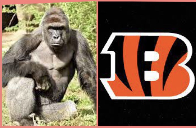 Harambe Bengal Blank Meme Template