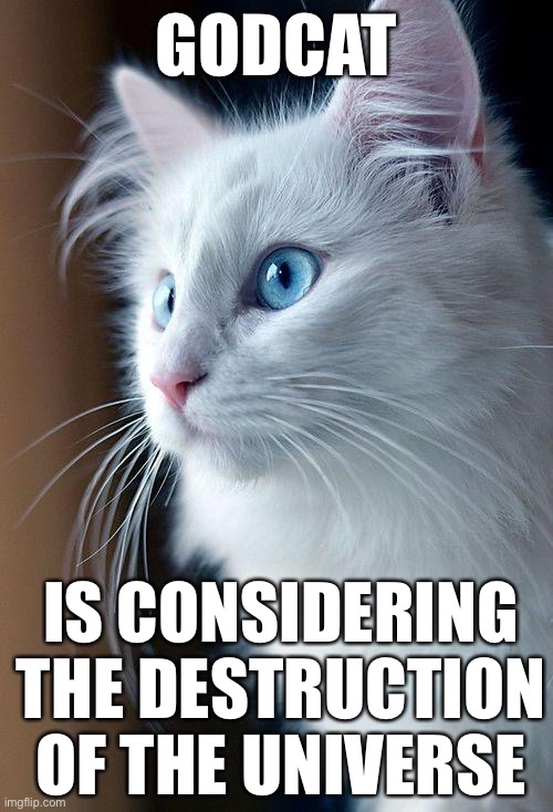 When the cringe cuts deep | GODCAT; IS CONSIDERING THE DESTRUCTION OF THE UNIVERSE | image tagged in ebf4,gamer,godcat,cat,white cat,kitty | made w/ Imgflip meme maker