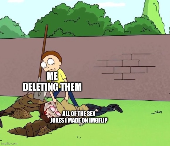 Enter text | ME DELETING THEM; ALL OF THE SEX JOKES I MADE ON IMGFLIP | image tagged in morty with his dead body,memes | made w/ Imgflip meme maker