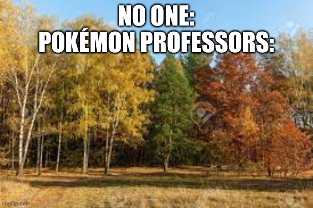 NO ONE:
POKÉMON PROFESSORS: | image tagged in pokemon,tree,memes,gaming,lol | made w/ Imgflip meme maker