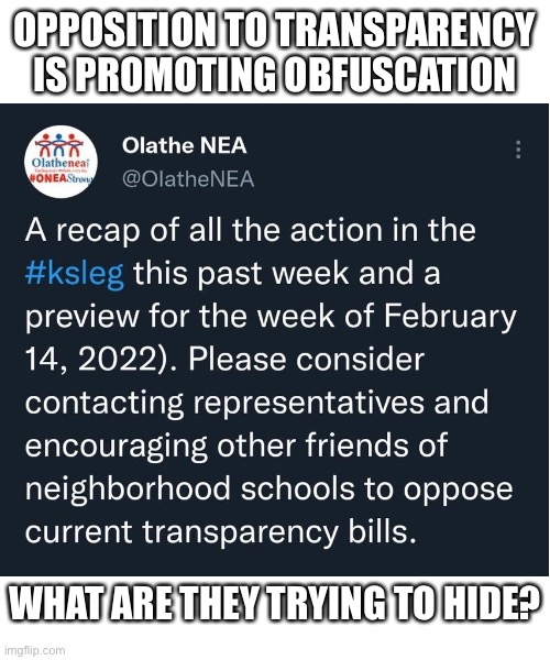 If you can't defend it, just hide it | OPPOSITION TO TRANSPARENCY IS PROMOTING OBFUSCATION; WHAT ARE THEY TRYING TO HIDE? | image tagged in blank white template | made w/ Imgflip meme maker