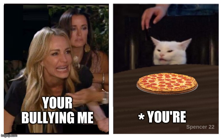 YOU'RE; YOUR BULLYING ME; * | image tagged in smudge the cat,woman yelling at cat,grammar nazi,pizza,your argument is invalid | made w/ Imgflip meme maker