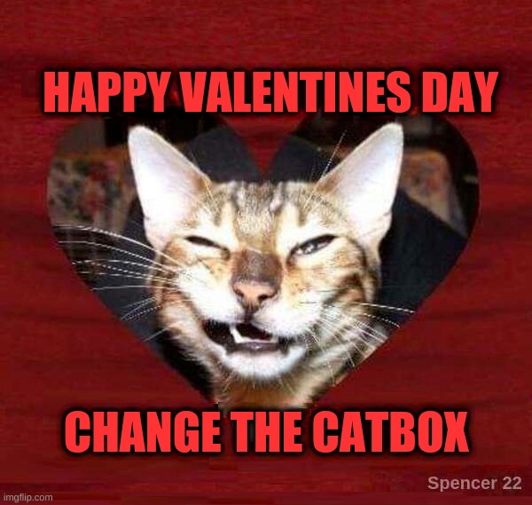 HAPPY VALENTINES DAY; CHANGE THE CATBOX | image tagged in valentine's day,litter box,what if i told you,what do we want,wait what,poop | made w/ Imgflip meme maker