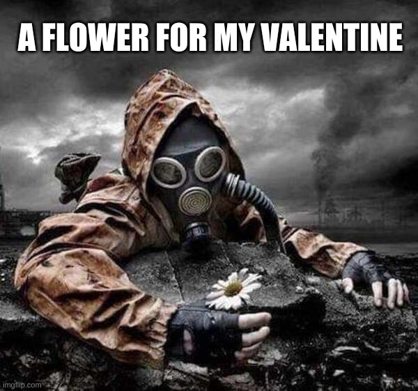 A FLOWER FOR MY VALENTINE | image tagged in valentine's day,flower,pollution,toxic,emotions,roll safe think about it | made w/ Imgflip meme maker