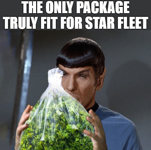 structure!!! | THE ONLY PACKAGE TRULY FIT FOR STAR FLEET | image tagged in star trek,star fleet,star trek discovery,mr spock,spock | made w/ Imgflip meme maker