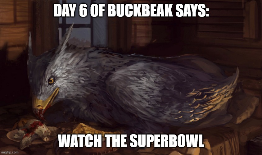 Buckbeak | DAY 6 OF BUCKBEAK SAYS:; WATCH THE SUPERBOWL | image tagged in buckbeak | made w/ Imgflip meme maker