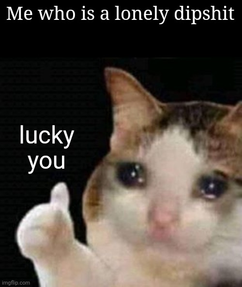 sad thumbs up cat | Me who is a lonely dipshit lucky you | image tagged in sad thumbs up cat | made w/ Imgflip meme maker