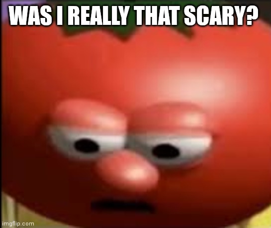 Sad tomato | WAS I REALLY THAT SCARY? | image tagged in sad tomato | made w/ Imgflip meme maker
