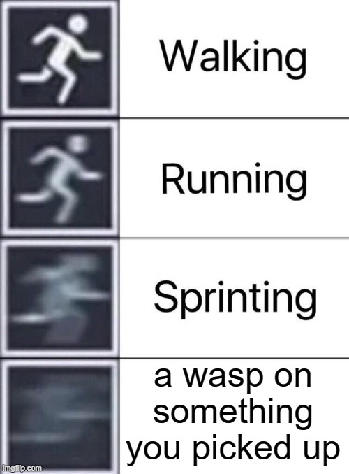 dasds | a wasp on something you picked up | image tagged in walking running sprinting | made w/ Imgflip meme maker
