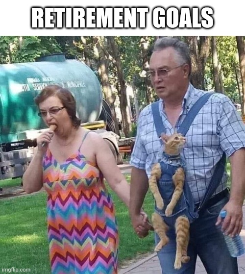 Retirement Goals | RETIREMENT GOALS | image tagged in retirement,cat,corn dog,couple,goals,wife | made w/ Imgflip meme maker