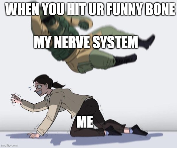 relatable? | WHEN YOU HIT UR FUNNY BONE; MY NERVE SYSTEM; ME | image tagged in funny bone | made w/ Imgflip meme maker