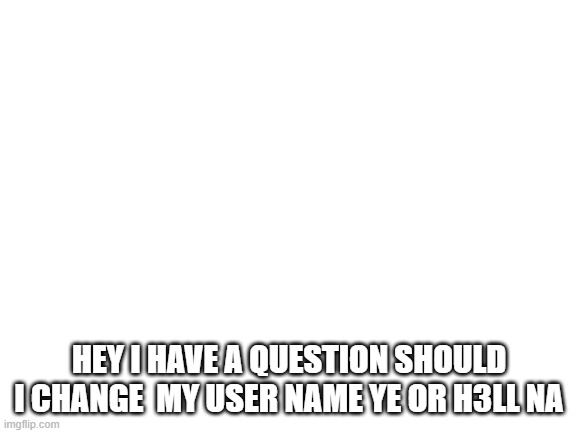 ye or h3ll nah | HEY I HAVE A QUESTION SHOULD I CHANGE  MY USER NAME YE OR H3LL NA | image tagged in blank white template | made w/ Imgflip meme maker