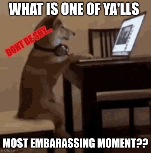 dog memes | WHAT IS ONE OF YA'LLS; DONT BE SHY... MOST EMBARASSING MOMENT?? | image tagged in dog memes,socially awesome awkward penguin | made w/ Imgflip meme maker