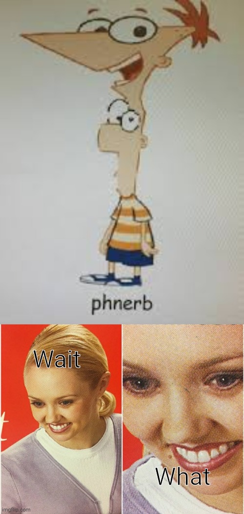 Phnerb.. Hmm if you combine Phineas and Ferb it will be Phnerb | Wait; What | image tagged in wait what,phineas and ferb,ihadastroke,memes,funny | made w/ Imgflip meme maker