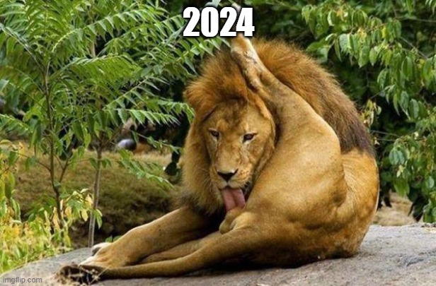 lion licking balls | 2024 | image tagged in lion licking balls | made w/ Imgflip meme maker