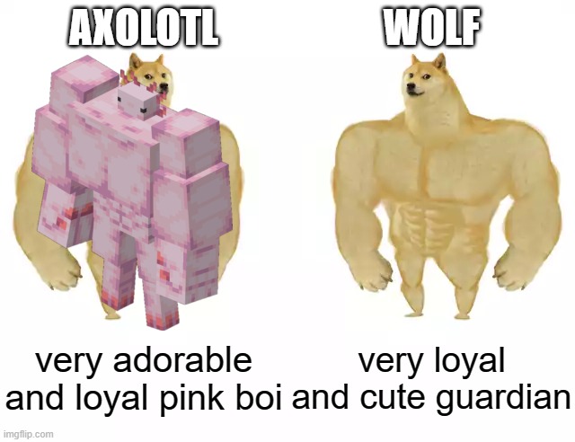 wholesome things | AXOLOTL; WOLF; very adorable and loyal pink boi; very loyal and cute guardian | image tagged in buff doge vs buff doge | made w/ Imgflip meme maker