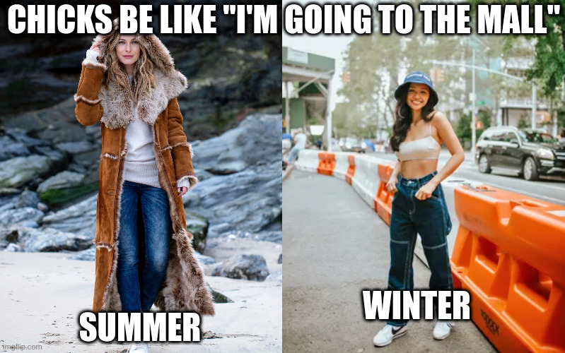 women dress oposite of seasons | CHICKS BE LIKE "I'M GOING TO THE MALL"; WINTER; SUMMER | image tagged in mall | made w/ Imgflip meme maker