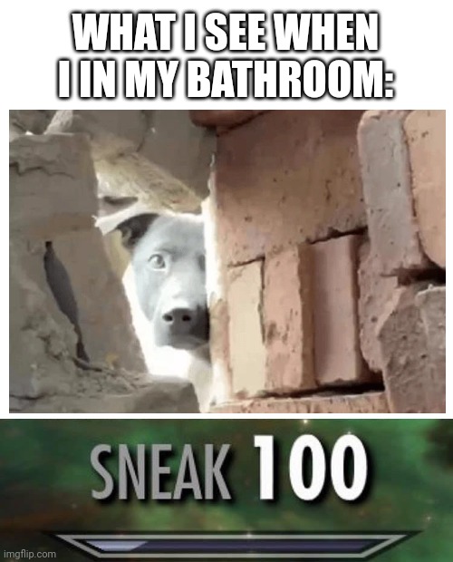 Sneak ten thousand | WHAT I SEE WHEN I IN MY BATHROOM: | image tagged in sneak 100 | made w/ Imgflip meme maker