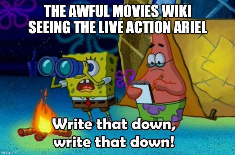 write that down | THE AWFUL MOVIES WIKI SEEING THE LIVE ACTION ARIEL | image tagged in write that down | made w/ Imgflip meme maker