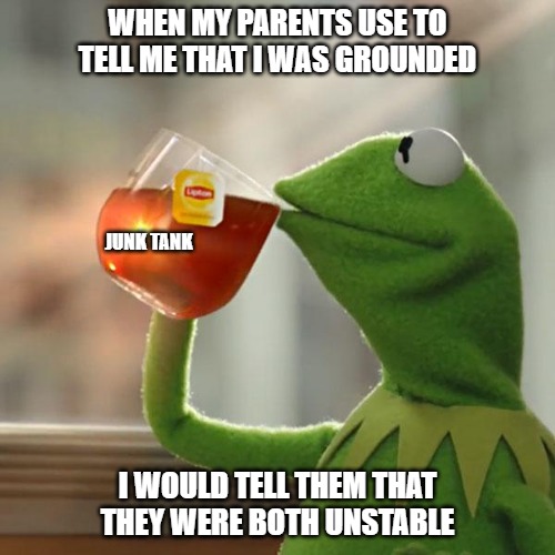Grounded | WHEN MY PARENTS USE TO TELL ME THAT I WAS GROUNDED; JUNK TANK; I WOULD TELL THEM THAT THEY WERE BOTH UNSTABLE | image tagged in memes,but that's none of my business,kermit the frog,parents,junk tank | made w/ Imgflip meme maker