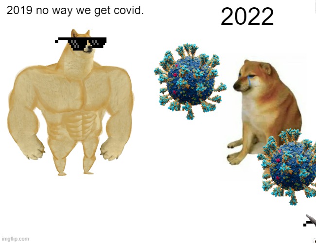 Buff Doge vs. Cheems Meme | 2019 no way we get covid. 2022 | image tagged in memes,buff doge vs cheems | made w/ Imgflip meme maker