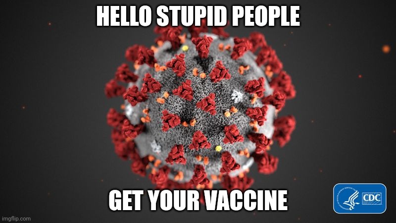 Get your vaccine | HELLO STUPID PEOPLE; GET YOUR VACCINE | image tagged in covid 19 | made w/ Imgflip meme maker