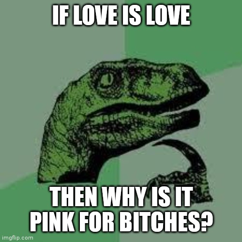 Dinosaur | IF LOVE IS LOVE; THEN WHY IS IT PINK FOR BITCHES? | image tagged in dinosaur | made w/ Imgflip meme maker