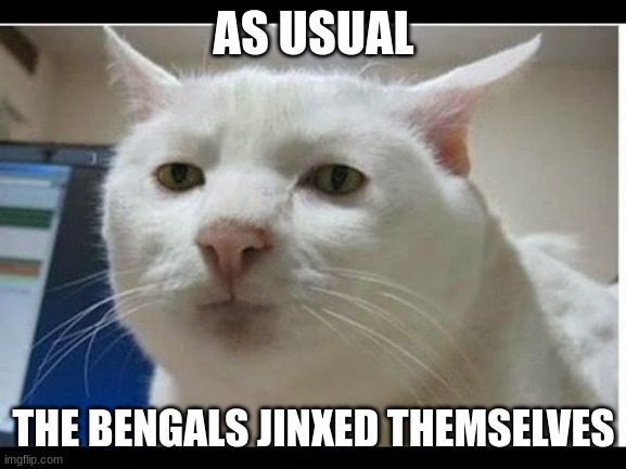 not surprised, | AS USUAL; THE BENGALS JINXED THEMSELVES | image tagged in surprised face | made w/ Imgflip meme maker