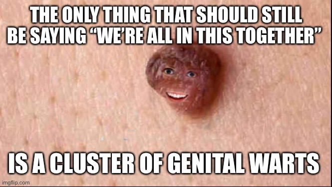 overly attached Wart | THE ONLY THING THAT SHOULD STILL BE SAYING “WE’RE ALL IN THIS TOGETHER”; IS A CLUSTER OF GENITAL WARTS | image tagged in overly attached wart | made w/ Imgflip meme maker