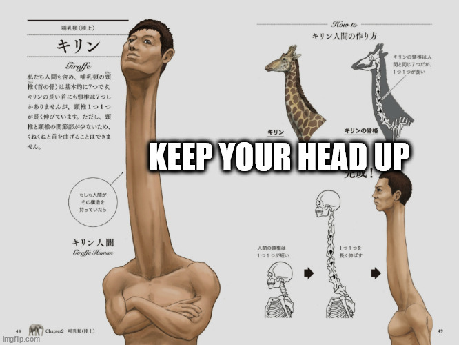 Keep your head up | KEEP YOUR HEAD UP | image tagged in giraffe | made w/ Imgflip meme maker