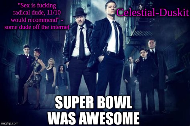 Duskit’s Gotham temp | SUPER BOWL WAS AWESOME | image tagged in duskit s gotham temp | made w/ Imgflip meme maker