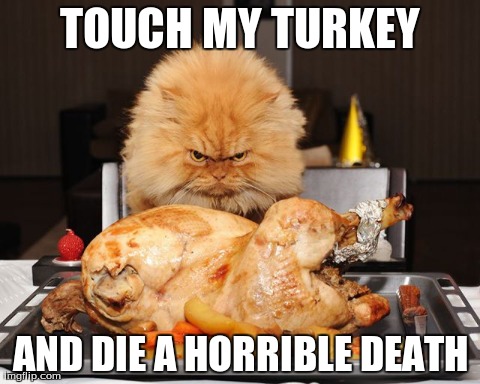 TOUCH MY TURKEY AND DIE A HORRIBLE DEATH | image tagged in funny,cats | made w/ Imgflip meme maker