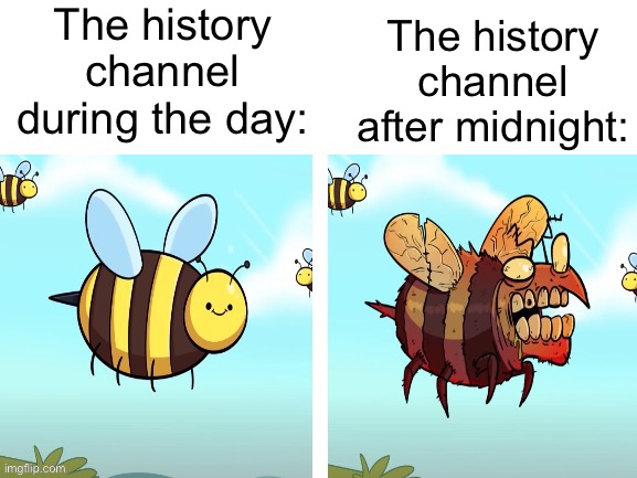  The history channel during the day:; The history channel after midnight: | image tagged in bees are terrifying,funny memes,memes,history channel,theodd1sout,bees | made w/ Imgflip meme maker