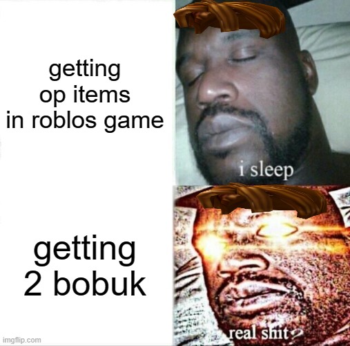 true (I guess) | getting op items in roblos game; getting 2 bobuk | image tagged in memes,sleeping shaq | made w/ Imgflip meme maker