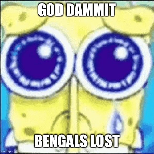 I got into a fight on discord with some bitch afterwards | GOD DAMMIT; BENGALS LOST | image tagged in sad spunchbop | made w/ Imgflip meme maker