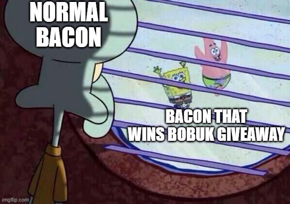 sad :((( | NORMAL BACON; BACON THAT WINS BOBUK GIVEAWAY | image tagged in squidward window | made w/ Imgflip meme maker