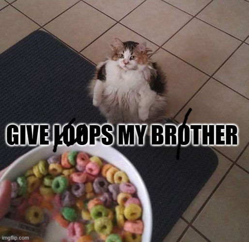 give me loops my brother | GIVE LOOPS MY BROTHER | image tagged in loops brother | made w/ Imgflip meme maker