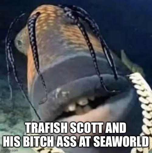 Trafish Scott | TRAFISH SCOTT AND HIS BITCH ASS AT SEAWORLD | image tagged in trafish scott | made w/ Imgflip meme maker
