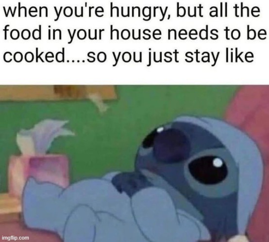 too lazy | image tagged in memes,funny,meems | made w/ Imgflip meme maker