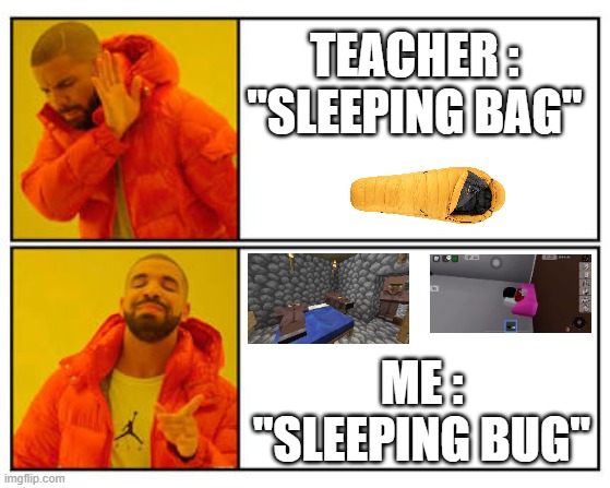 No - Yes | TEACHER : "SLEEPING BAG"; ME : "SLEEPING BUG" | image tagged in no - yes | made w/ Imgflip meme maker