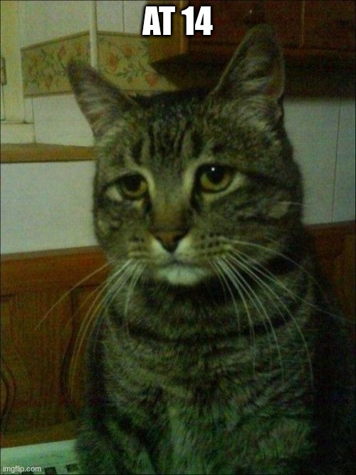 Depressed Cat Meme | AT 14 | image tagged in memes,depressed cat | made w/ Imgflip meme maker