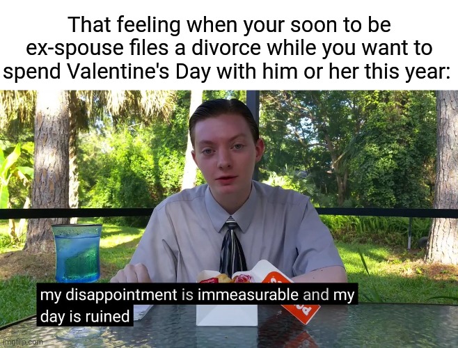 Valentine's Day |  That feeling when your soon to be ex-spouse files a divorce while you want to spend Valentine's Day with him or her this year: | image tagged in my disappointment is immeasurable,blank white template,funny,memes,valentine's day,happy valentine's day | made w/ Imgflip meme maker