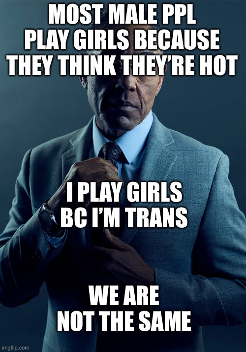 Gaymer | MOST MALE PPL PLAY GIRLS BECAUSE THEY THINK THEY’RE HOT; I PLAY GIRLS BC I’M TRANS; WE ARE NOT THE SAME | image tagged in gus fring we are not the same | made w/ Imgflip meme maker