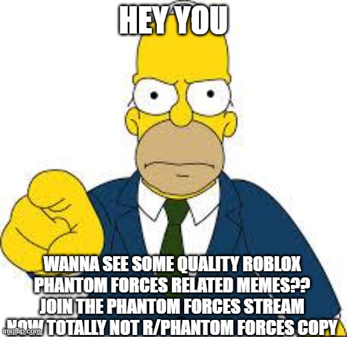 Hey you  | HEY YOU; WANNA SEE SOME QUALITY ROBLOX PHANTOM FORCES RELATED MEMES?? JOIN THE PHANTOM FORCES STREAM NOW TOTALLY NOT R/PHANTOM FORCES COPY | image tagged in hey you | made w/ Imgflip meme maker