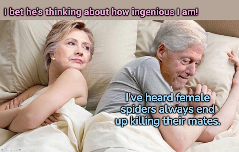 Hillary: I bet he's thinking about | I bet he's thinking about how ingenious I am! I've heard female spiders always end up killing their mates. | image tagged in hillary i bet he's thinking about,bill and hillary clinton,hillary spy campaign,political humor | made w/ Imgflip meme maker